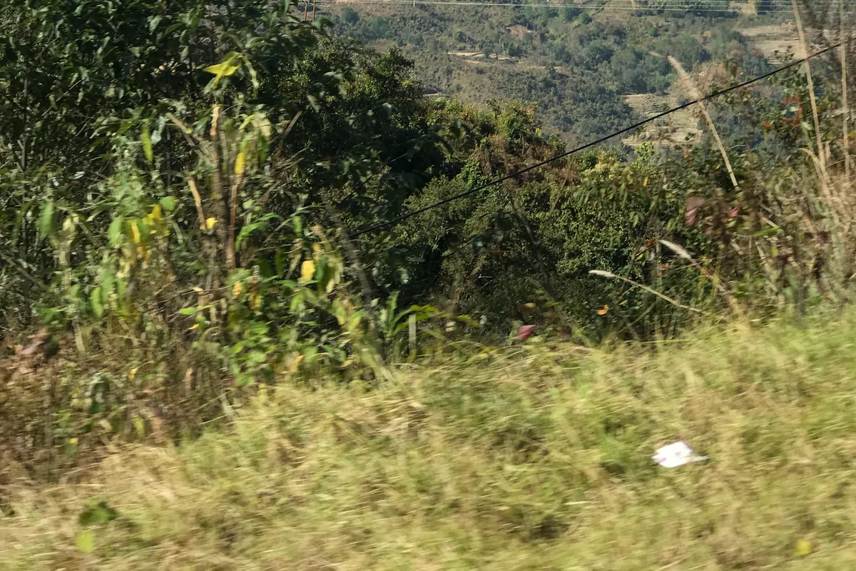 The hilltop town of Ukhrul